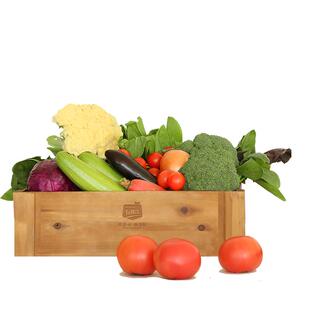 有机汇6斤蔬菜套餐 可选菜家庭组合辅食无农残现摘顺丰包邮