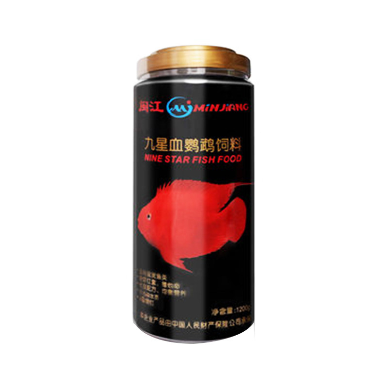 闽江九星血鹦鹉招财上浮型增艳