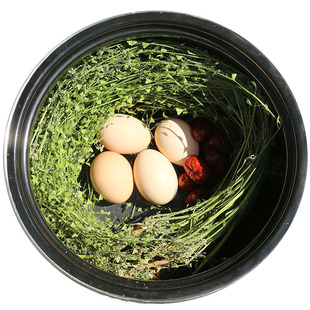 新鲜野生晒干老荠菜花整株带根花籽三月三月子用煮鸡蛋煮水天然