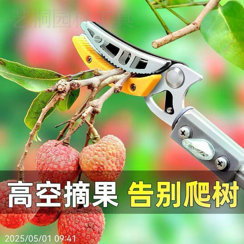 摘果神器高空采摘修枝剪龙眼高枝剪刀头高空摘水果剪刀枇杷采摘器