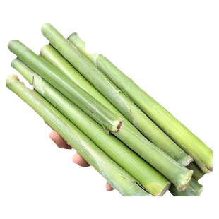 甜高粱杆种籽东北甜杆小甘蔗新鲜水果南方芦粟甜芦杆四季农家种子