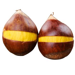 【开好口】2025年新鲜锥栗生板栗建瓯高山农家老树板栗现摘野生椎