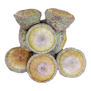 新果野生风流果3斤广西精选石头果厚麟柯男性滋补养生泡茶酒煲汤