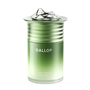 新车除甲醛除异味车内专用活性碳除味吸汽车竹炭包车载空气净化器