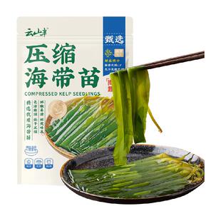 云山半压缩海带苗干货海带丝鲜嫩苗芽虾皮速食汤凉拌火锅