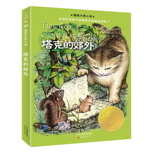 国际大奖小说升级版系列 兔子坡 风之王 海蒂的天空 蓝色的海豚岛 塔克的郊外 五毛钱的愿望 呐喊红宝石 桥下一家人课外读物