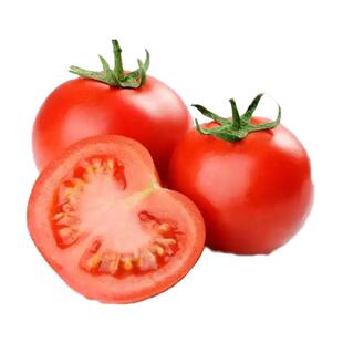 1号沙瓤西红柿自然熟非铁皮柿子水果普罗旺斯番茄新鲜当季现摘