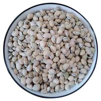 老品种白扁豆药用白扁豆