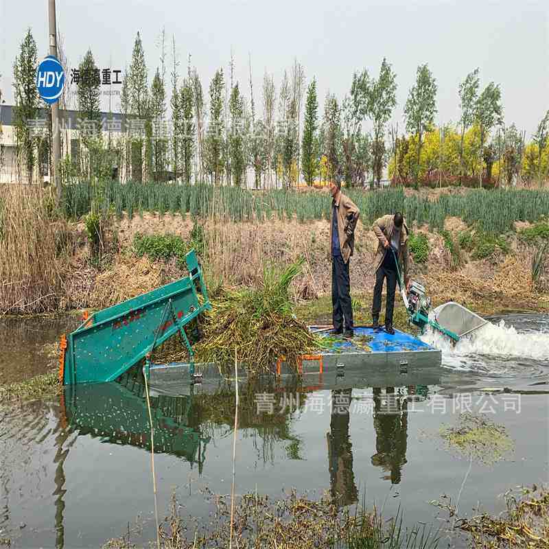 小型平板打捞船水面虾塘水浮萍清理泡沫船简易平板割草船,户外/登山/野营/旅行用品,船外机,淘宝优惠券,粉丝福利购,淘宝优惠卷