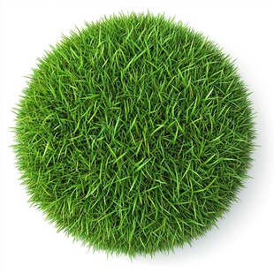 矮生四季青草籽草坪狗牙根护坡固土庭院地毯草绿化草皮黑麦草种子