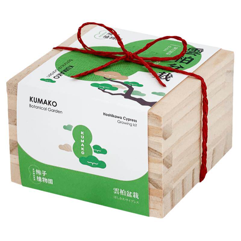 日式木盒自种组合罐头植物盆栽桌面办公室摆设礼物多肉有趣情人节