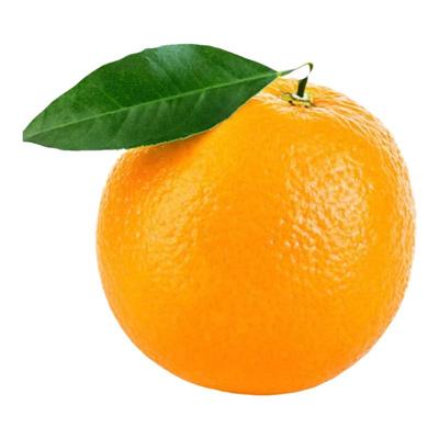 礼盒正宗宜昌九月红橙子秭归脐橙新鲜甜橙子榨汁水果冻橙柑橘桔子