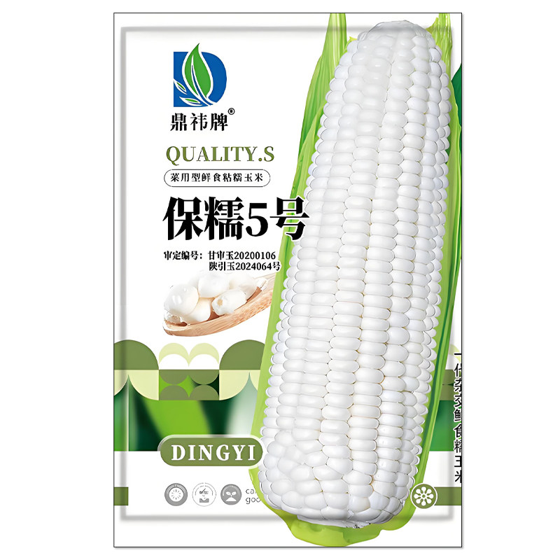 保糯5号玉米种子菜用型