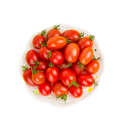 釜山88小番茄圣女果超甜西红柿