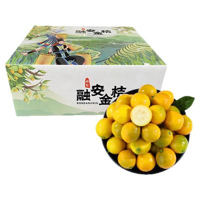 正宗广西融安脆皮金桔鲜果小金橘子新鲜水果应当季蜜金柑包邮
