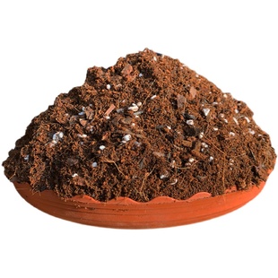 土中土蝴蝶兰土专用土肥料兰花种植料透气养花家用花卉盆栽营养土