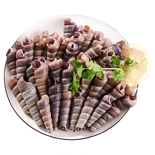 新鲜钉螺鲜活冷冻海钉螺海鲜水产去头活钉螺整尾海螺肉商用批发