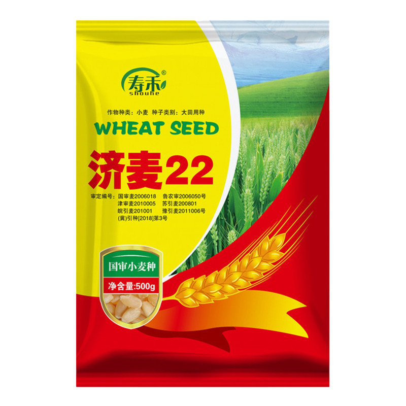 济麦22小麦种子国审优质大田良种高产中筋小麦籽种农科院选育品种