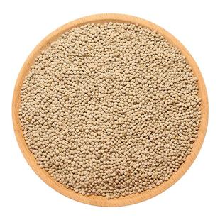 白苏子500g鸟食新货荏子大粒玉苏子 鹦鹉 金丝雀 芙蓉鸟 黄雀鸟粮