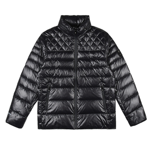 雷迪波尔男装羽绒服2023品牌臂章休闲立领鸭绒三防面料耐脏上衣男