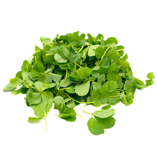 【廊下滋味】新鲜草头500g上海本地农家三叶菜金花菜野菜新鲜蔬菜