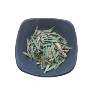 红豆杉中草药红豆杉叶子 中药材店铺500克包邮红豆杉树叶茶做枕头