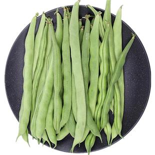 【小汤山】扁豆角 约300g 新鲜蔬菜当天采摘北京农场顺丰到家