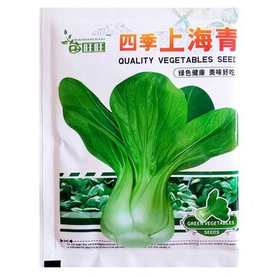 耐热耐寒上海青种子南方菜籽