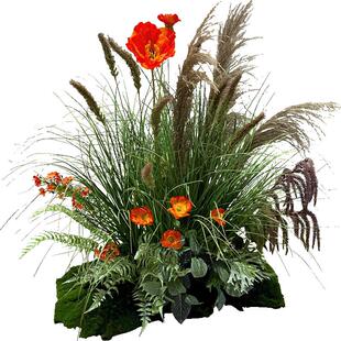 wo+仿真虞美人假花野生芦苇造景橱窗阳台展柜楼梯角落摆放堆景花