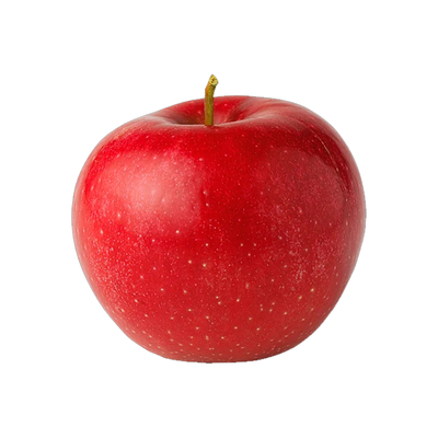 苹果树苗盆栽地红富士冰糖