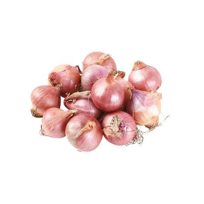 迷你小洋葱新鲜生吃东北毛葱