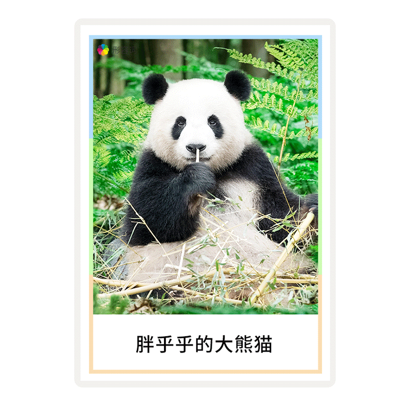 名词形容词训练卡片儿童语言教具