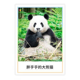 名词形容词认知卡片扩句表达能力自闭症儿童语言发育迟缓训练教具