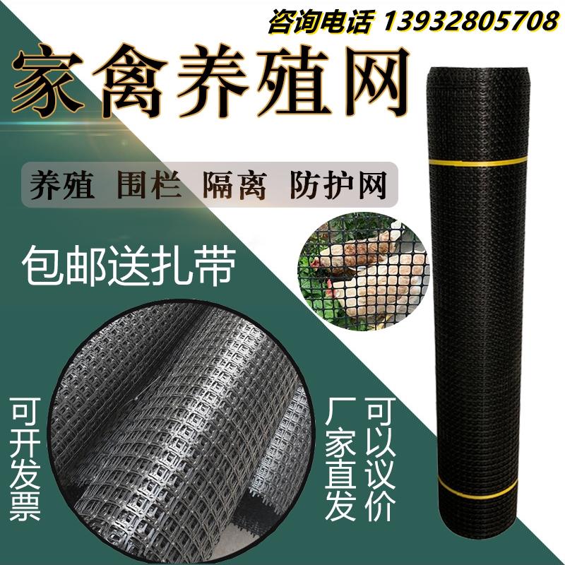 养殖网围栏网塑料网格防护网加厚小孔户外养鸡鸭鹅专用围网漏粪垫