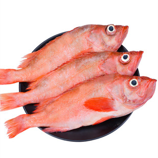 红石斑鱼5斤冷冻整条红鱼大眼鱼富贵鱼海鲜水产鲜活海鱼斑鱼包邮