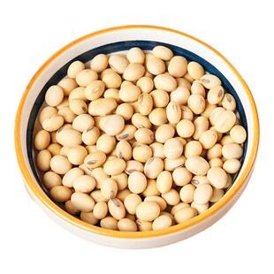 农家椭圆土黄豆老品种新粮发豆芽苗打豆浆做豆腐豆酱炖菜五谷杂粮