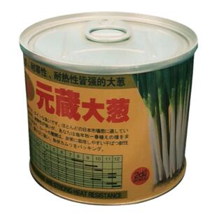 日本元藏大葱种子 原装进口高产抗病铁杆大葱 春秋大面积种植包邮