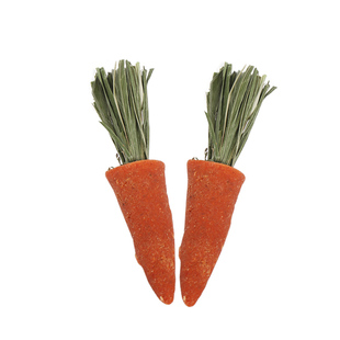 蜜袋鼯磨牙零食玩具金丝熊专用磨牙棒仓鼠磨牙神器花枝鼠造景装饰