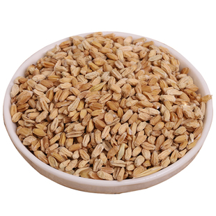 浮小麦中药材睡觉盗汗药用孚胡小麦农家瘪麦子的功效止汗茶非野生