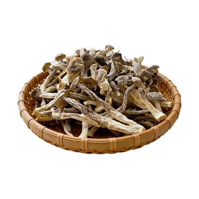 5A精品鹿茸菇干货特级500g正品官方旗舰店香菇蘑菇新鲜云南脆脆菇