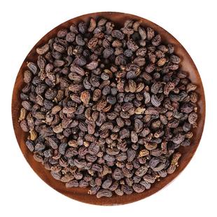 中药材店铺批女贞子实体店铺药房品质正品中草药大全专卖打粉制丸