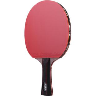 尤迪曼十星专业级乒乓球拍单拍1只 兵乓底板碳素红黑碳王横拍直拍