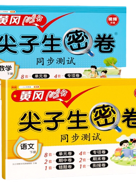2026新版同步课本100分试卷