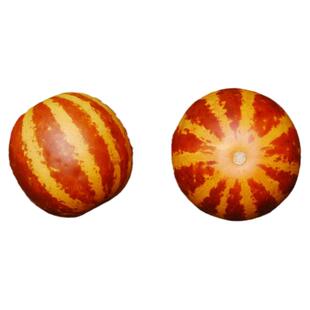 安妮女王口袋迷你小甜瓜种子芳香水果超甜高产传家宝春秋盆栽水果