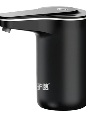一年换新子路电动充电抽水器