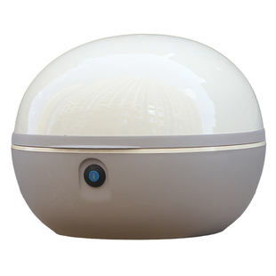 电动车后备箱尾架适用爱玛晴天露娜W293W290W190W296电瓶车尾箱