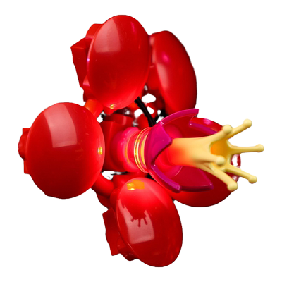 KGBOX模型手办傲骨梅黄金菊