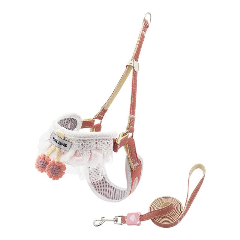 新品小型犬比熊泰迪博美约克夏