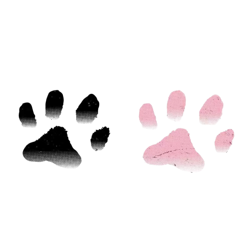 温变猫爪防水持久可洗纹身贴