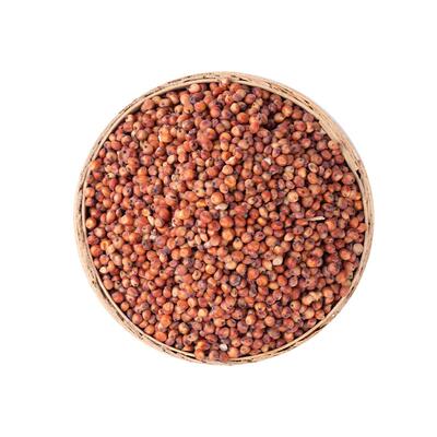 酿酒红高粱带皮未脱皮